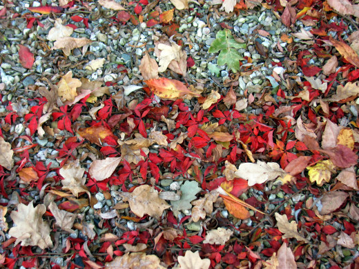 1474239 (a): :2560x1920
